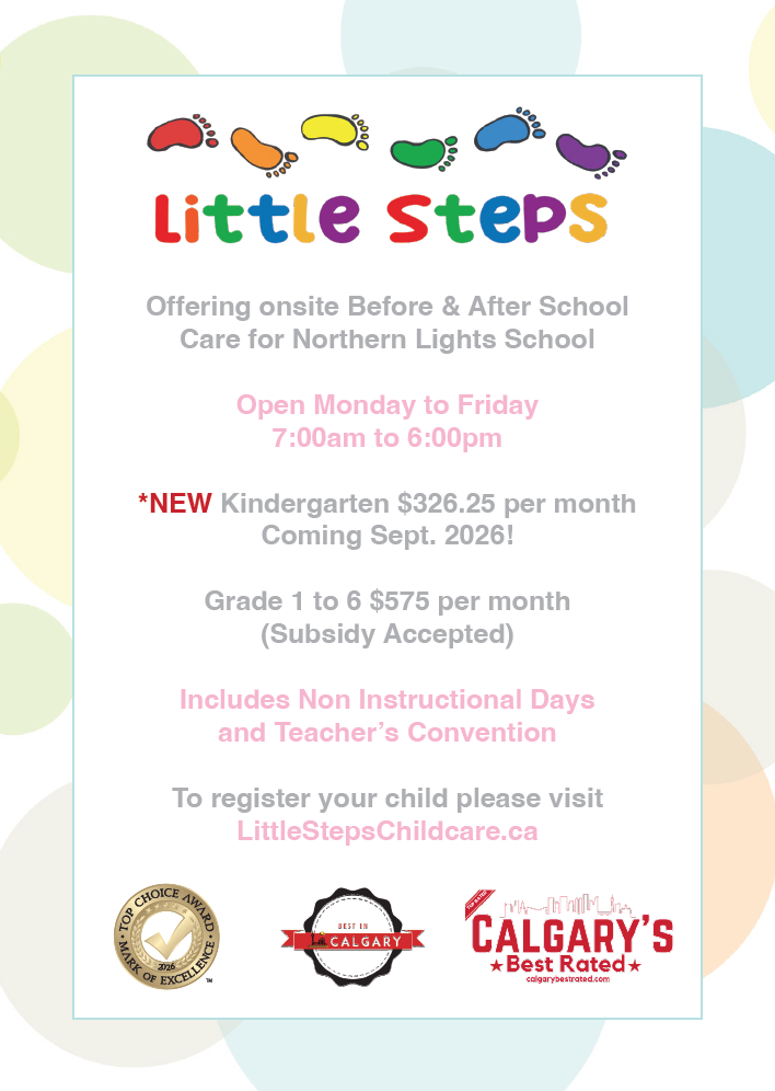 Little Steps Northern Lights